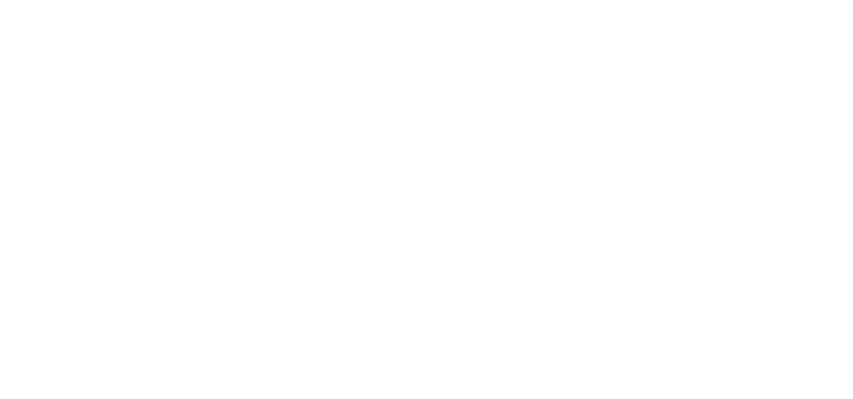 White Logo +10